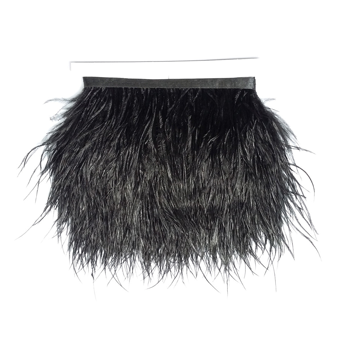 Ostrich Feather