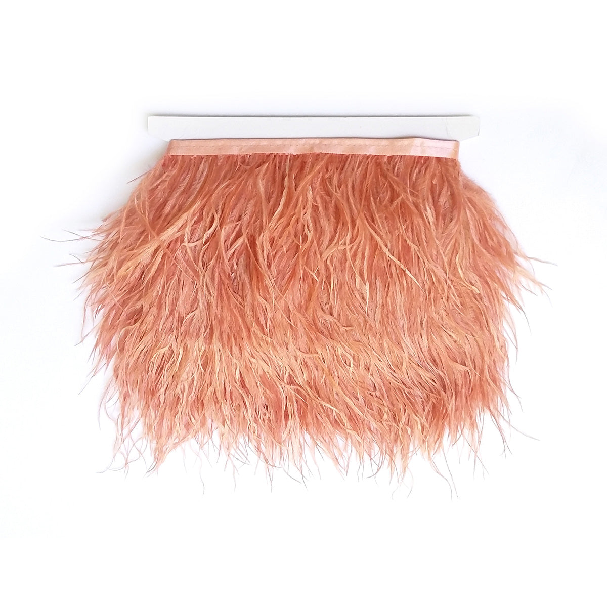 Ostrich Feather