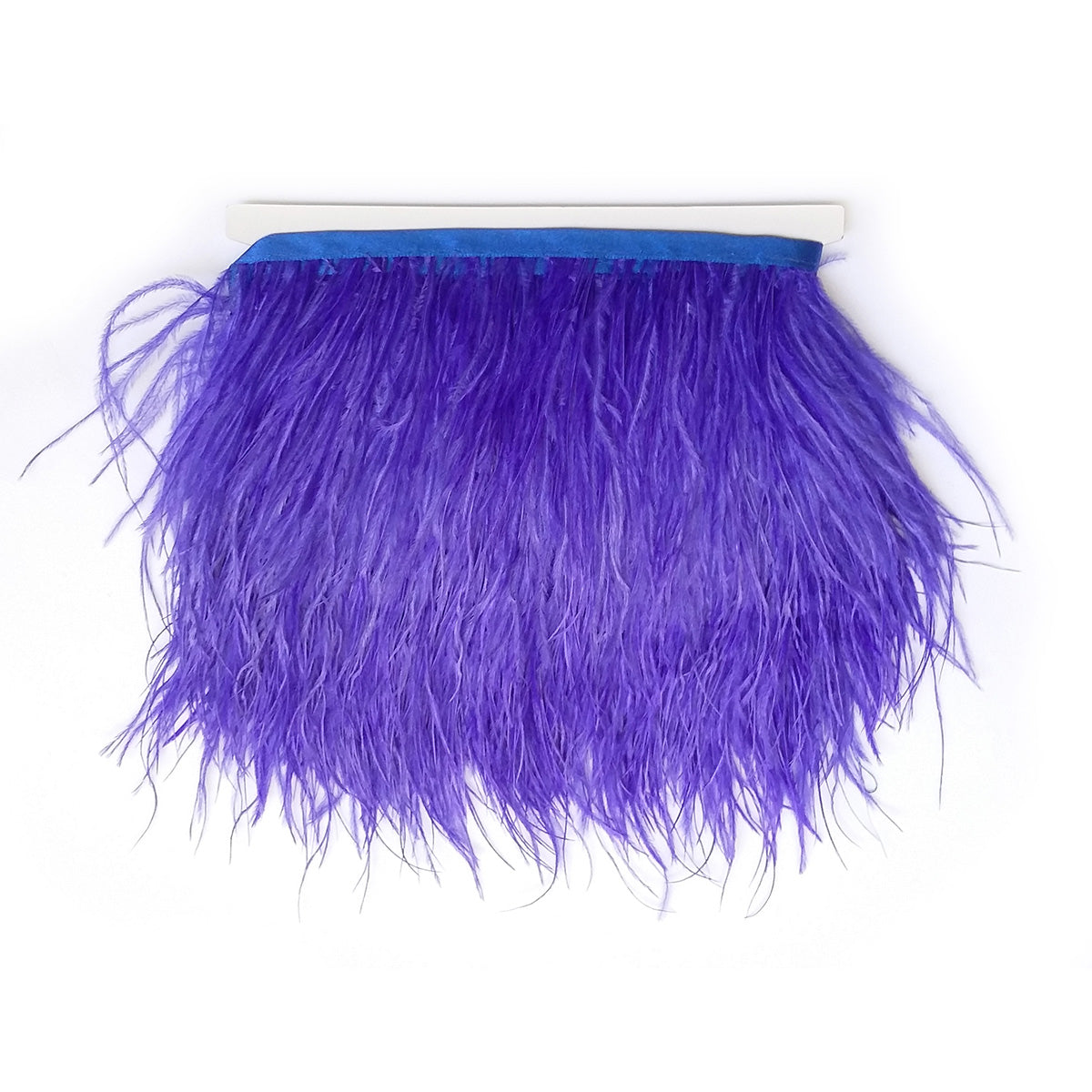 Ostrich Feather