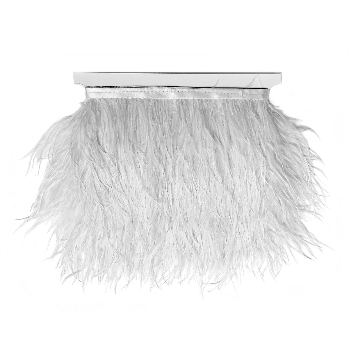 Ostrich Feather